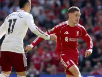 包含里程碑夜布莱顿手感冰凉，英超窗口期刷纪录，质疑声四起，团队化学反应显著的词条